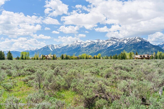 505 E Trap Club Rd, Jackson, WY 83012 - photo 10