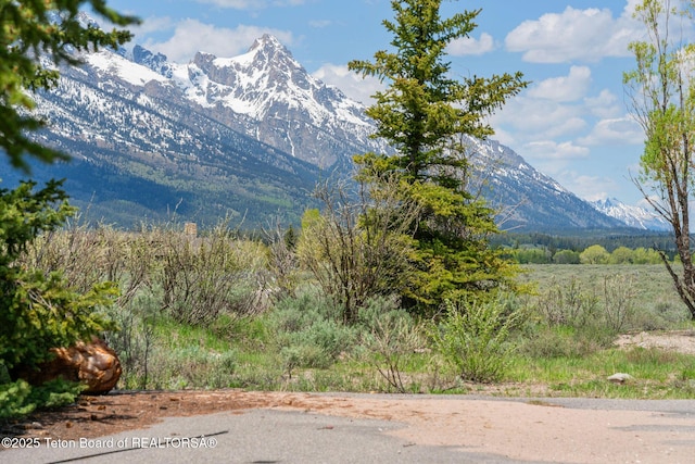 505 E Trap Club Rd, Jackson, WY 83012 - photo 13
