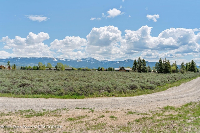 505 E Trap Club Rd, Jackson, WY 83012 - photo 7