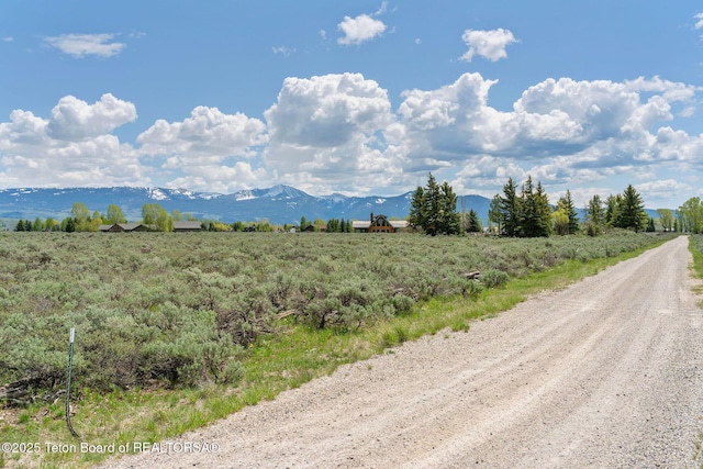 505 E Trap Club Rd, Jackson, WY 83012 - photo 6