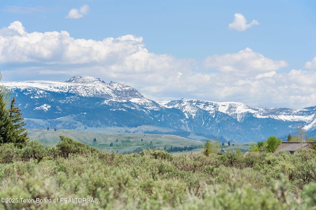 505 E Trap Club Rd, Jackson, WY 83012 - photo 2