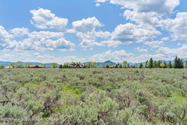 505 E Trap Club Rd, Jackson, WY 83012 - photo 8