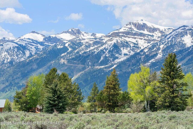 505 E Trap Club Rd, Jackson, WY 83012 - photo 3