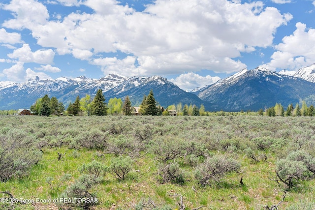 505 E Trap Club Rd, Jackson, WY 83012 - photo 9