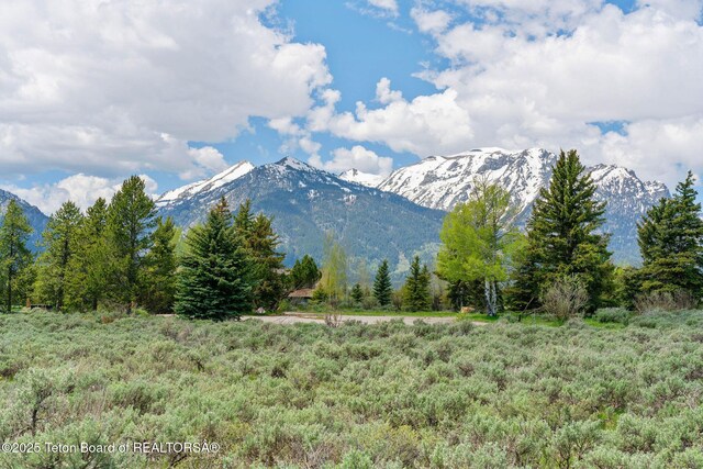 505 E Trap Club Rd, Jackson, WY 83012 - photo 14