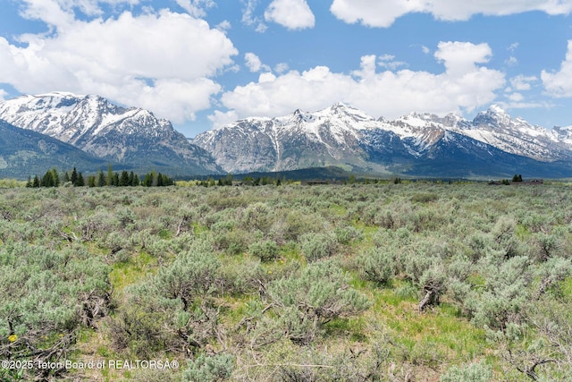 505 E Trap Club Rd, Jackson, WY 83012 - photo 4