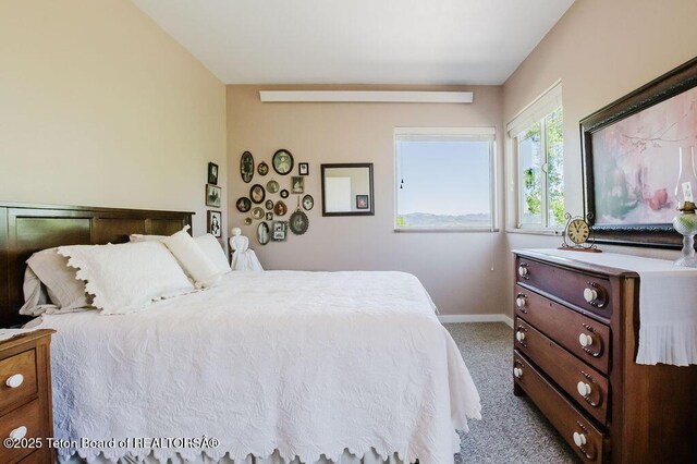397 Dogwood Dr, Star Valley Ranch, WY 83127 - photo 14