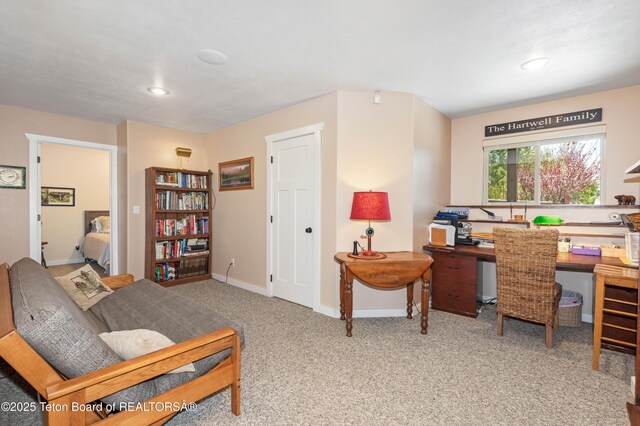 397 Dogwood Dr, Star Valley Ranch, WY 83127 - photo 29