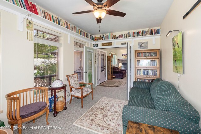 397 Dogwood Dr, Star Valley Ranch, WY 83127 - photo 9