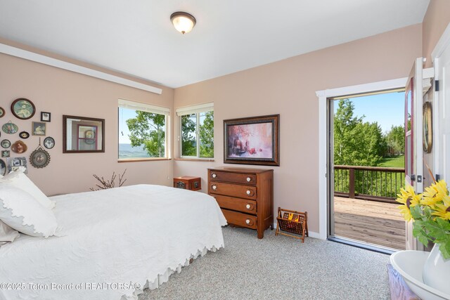 397 Dogwood Dr, Star Valley Ranch, WY 83127 - photo 13