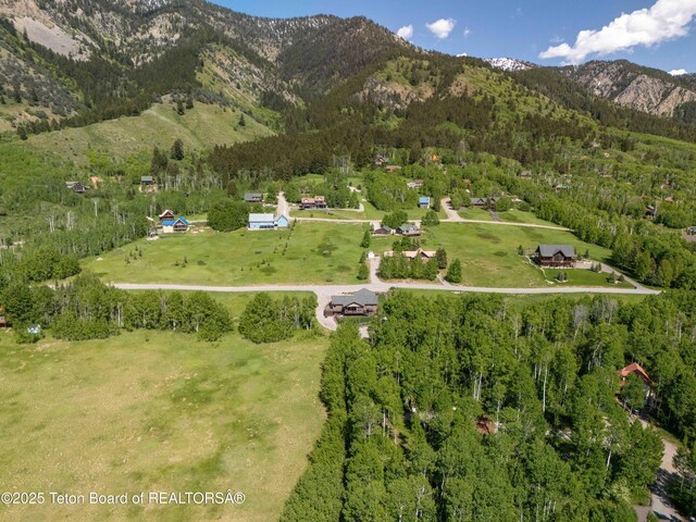 397 Dogwood Dr, Star Valley Ranch, WY 83127 - photo 50