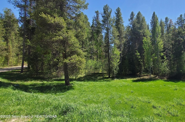 4085 Leigh Ln, Alta, WY 83414