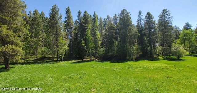 4085 Leigh Ln, Alta, WY 83414