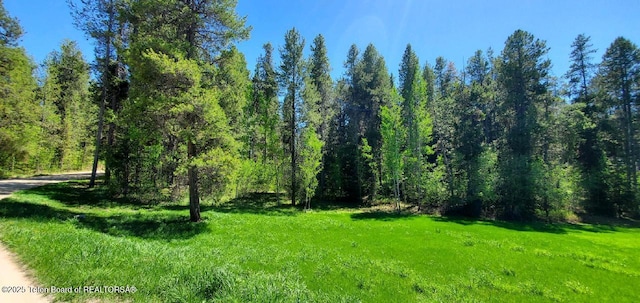 4085 Leigh Ln, Alta, WY 83414