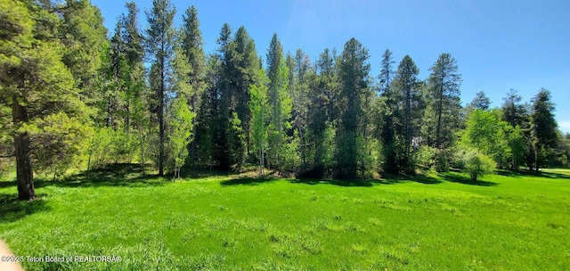 4085 Leigh Ln, Alta, WY 83414