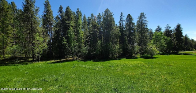 4085 Leigh Ln, Alta, WY 83414