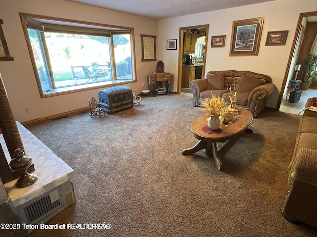 216 County Road 179s, Thayne, WY 83127 - carpeted living room with a textured ceiling