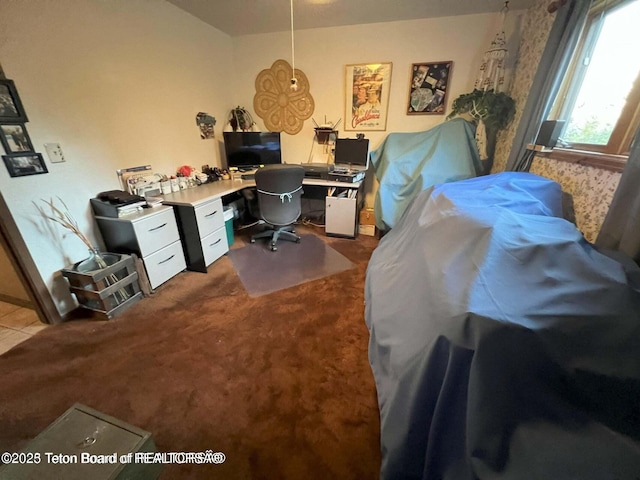 216 County Road 179s, Thayne, WY 83127 - view of carpeted office
