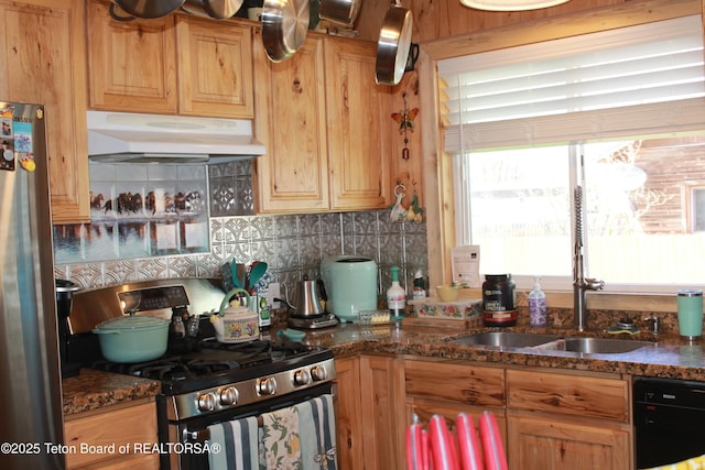 588 S Oak St, Labarge, WY 83123 - kitchen featuring under cabinet range hood, appliances with stainless steel finishes, a sink, decorative backsplash, and dark stone countertops