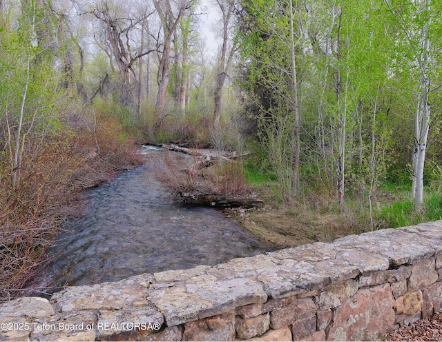 358 Solitude Ln, Tetonia, ID 83452 - view of nature
