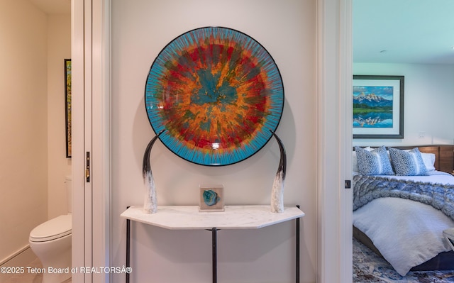 308 Hidden Hollow Dr, Jackson, WY 83001 - detailed view of toilet