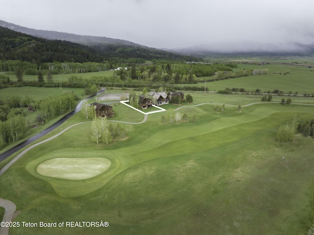 88 Blackfoot Trl, Victor, ID 83455 - surrounding community featuring a mountain view