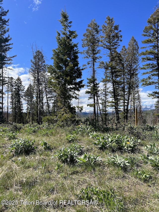 TBDNWNE Deer Haven Road, Bondurant, WY 82922
