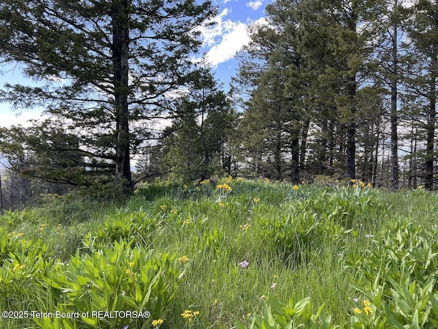 TBDNWNE Deer Haven Road, Bondurant, WY 82922