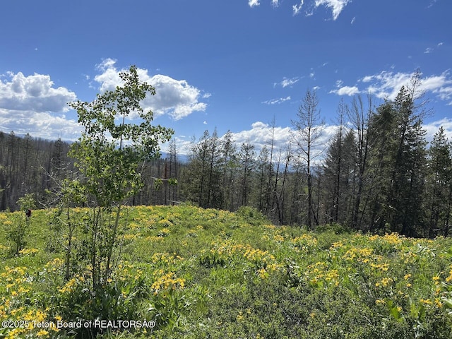 TBDNWNE Deer Haven Road, Bondurant, WY 82922