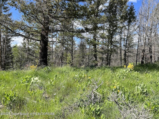 TBDNWNE Deer Haven Road, Bondurant, WY 82922