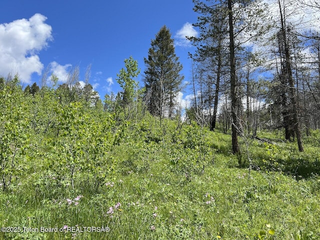 TBDNWNE Deer Haven Road, Bondurant, WY 82922