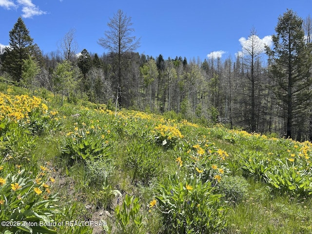 TBDNWNE Deer Haven Road, Bondurant, WY 82922