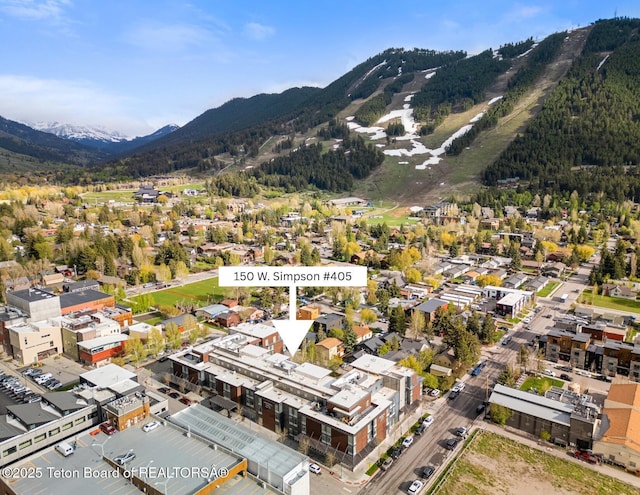 150 W Simpson Ave Unit 405, Jackson, WY 83011 - view of mountain background