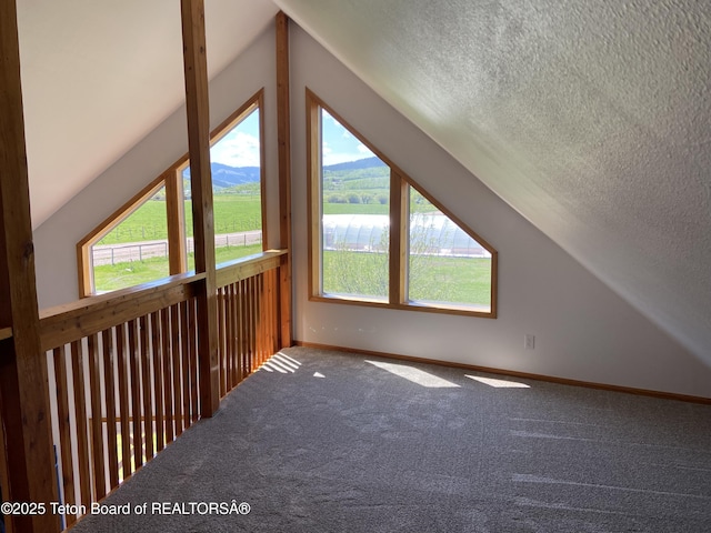 522 El Clark Ln, Smoot, WY 83126 - additional living space featuring vaulted ceiling, healthy amount of natural light, carpet, and a textured ceiling