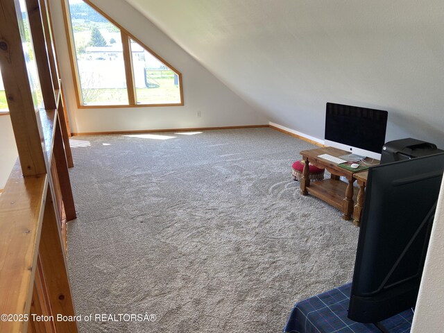 522 El Clark Ln, Smoot, WY 83126 - bonus room featuring carpet and vaulted ceiling