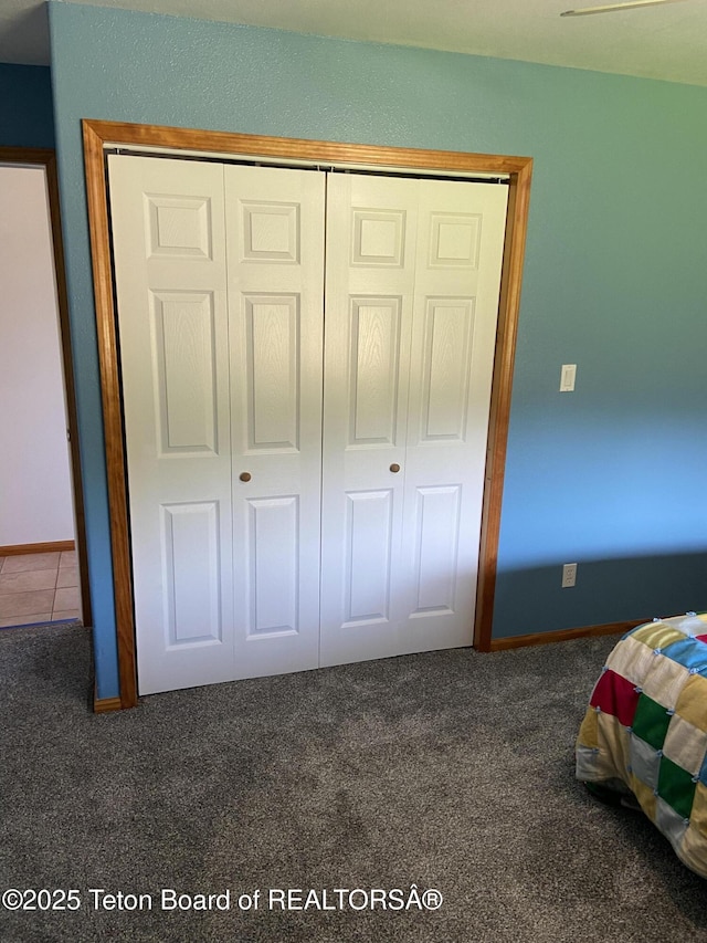 522 El Clark Ln, Smoot, WY 83126 - bedroom featuring carpet and a closet