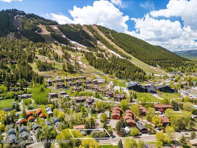 500 E Kelly Ave, Jackson, WY 83001 - photo 2