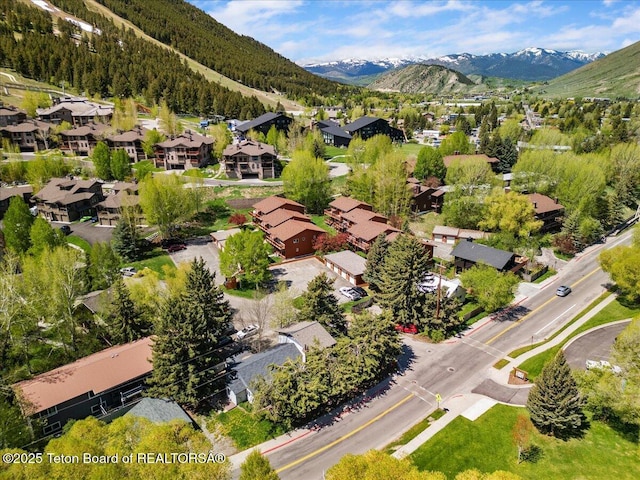 500 E Kelly Ave, Jackson, WY 83001 - photo 5