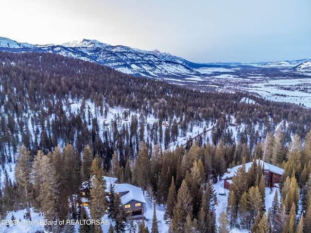 6960 Lupine Trl, Wilson, WY 83001 - view of mountain background featuring a heavily wooded area