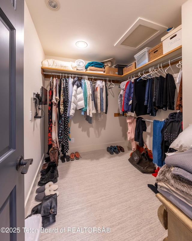 6960 Lupine Trl, Wilson, WY 83001 - walk in closet featuring attic access and carpet