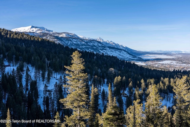 6960 Lupine Trl, Wilson, WY 83001 - view of mountain background with a forest