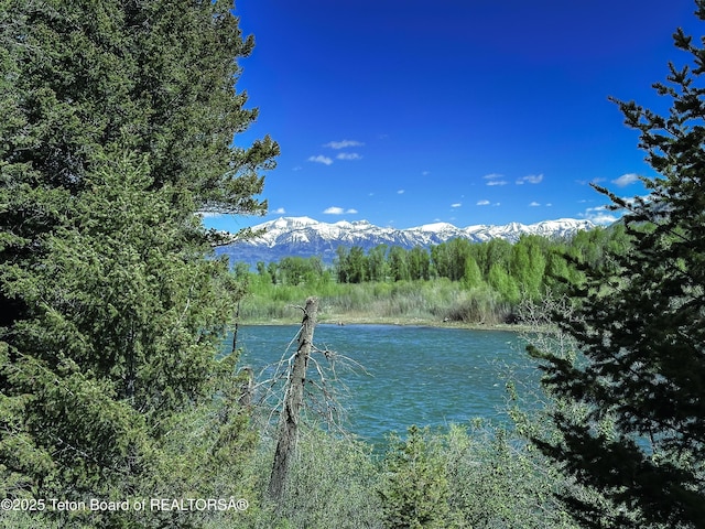 1225 Munger Mountain Rd, Jackson, WY 83001