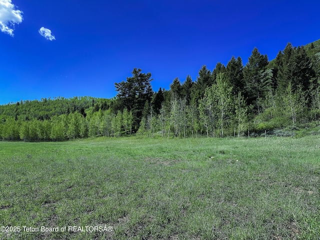 1225 Munger Mountain Rd, Jackson, WY 83001