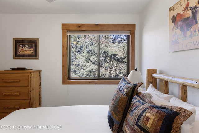 371 Snow King Loop, Jackson, WY 83001 - view of bedroom