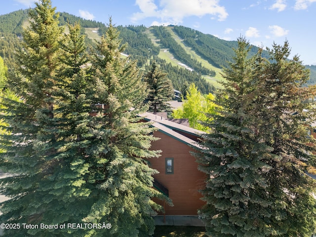 371 Snow King Loop, Jackson, WY 83001 - view of mountain background featuring a forest
