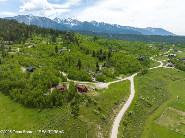 57 Lynx Trl, Alpine, WY 83128 - drone / aerial view of mountains and a forest