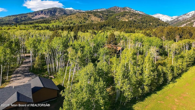 126 S Forest Dr, Star Valley Ranch, WY 83127