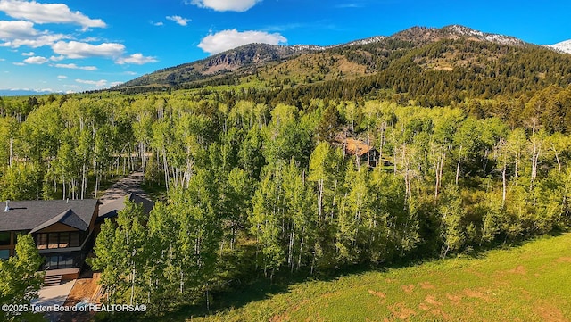 126 S Forest Dr, Star Valley Ranch, WY 83127