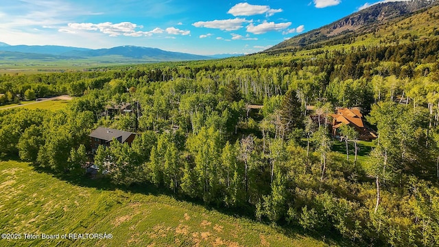 126 S Forest Dr, Star Valley Ranch, WY 83127
