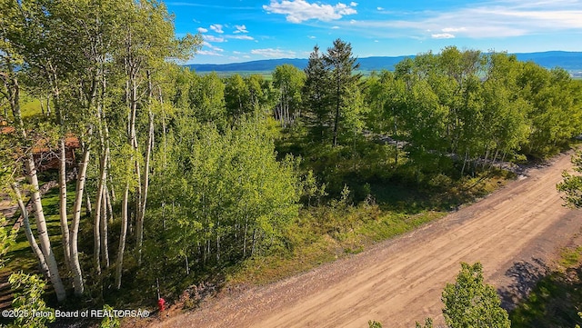 126 S Forest Dr, Star Valley Ranch, WY 83127
